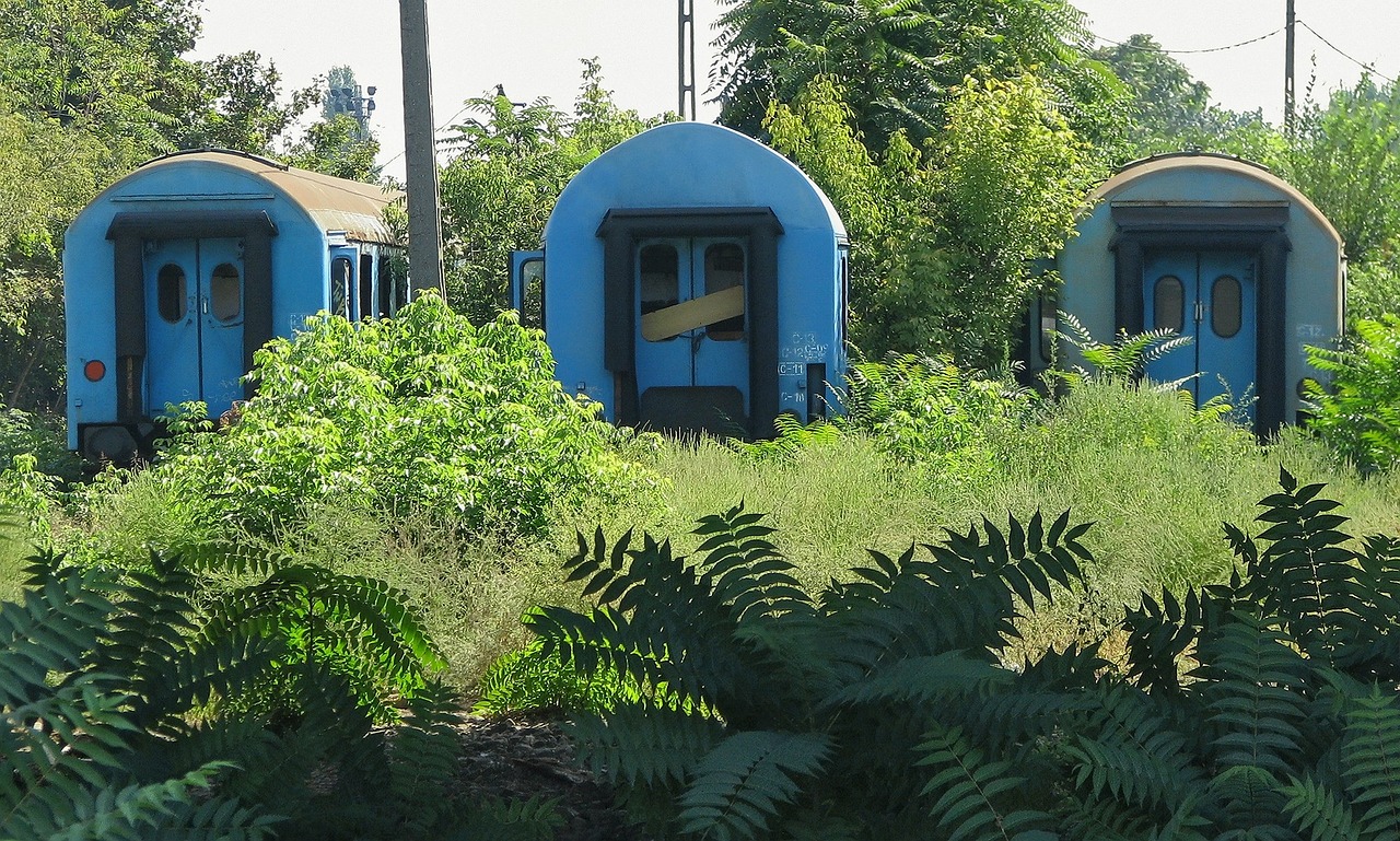 train green space old wagon train free photo