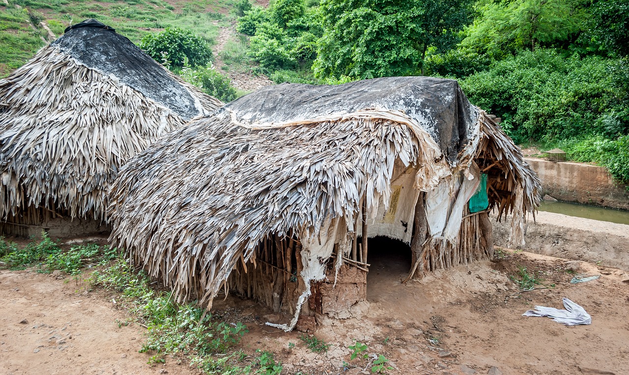 tribal hut india free photo