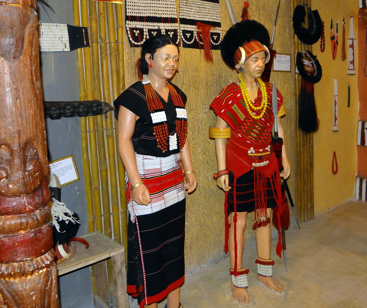 tribe naga angami free photo