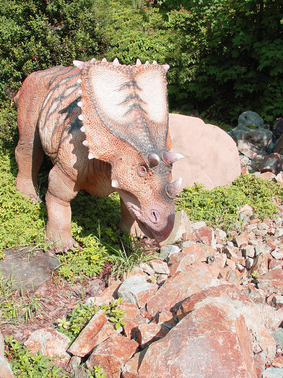triceratops dino dinosaur free photo