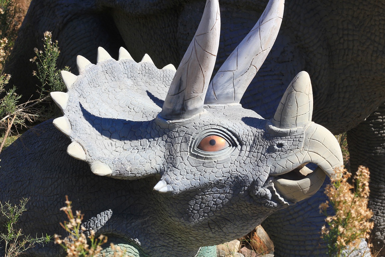 triceratops dinosaur statue free photo