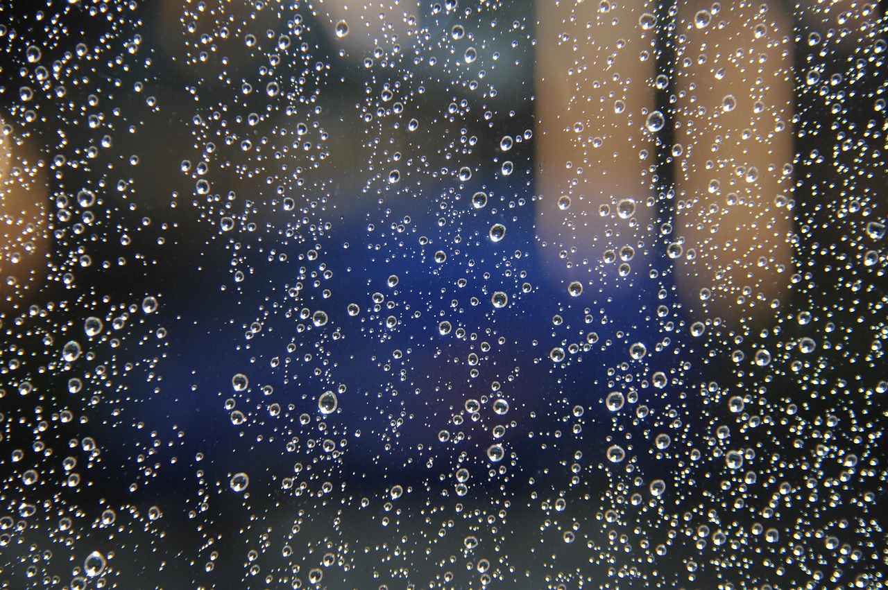 trickle the rainy season raindrops free photo