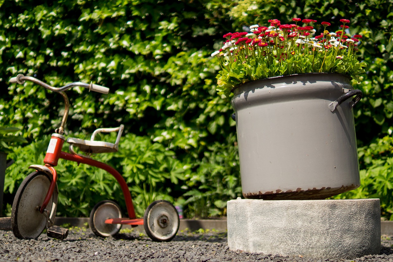 tricycle pots flowers free photo
