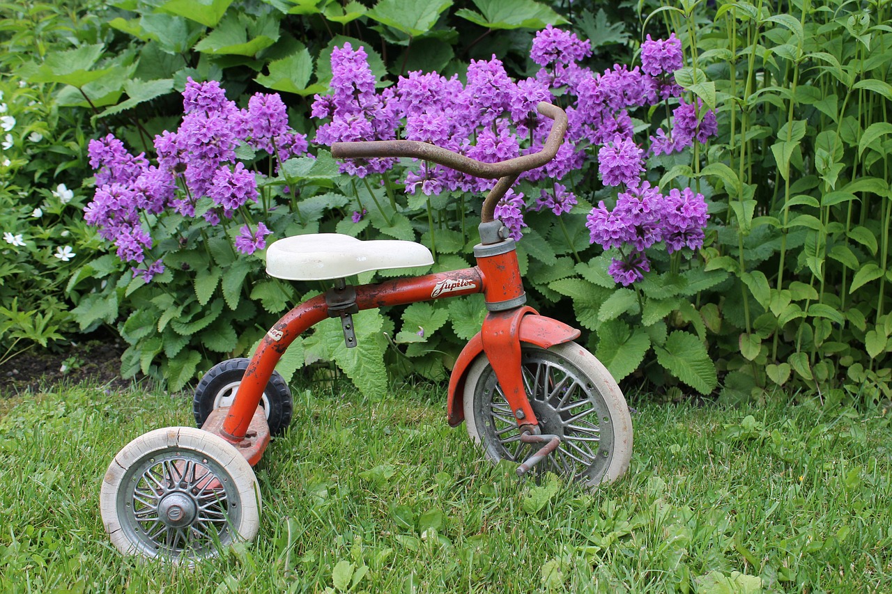 tricycle jupiter retro free photo