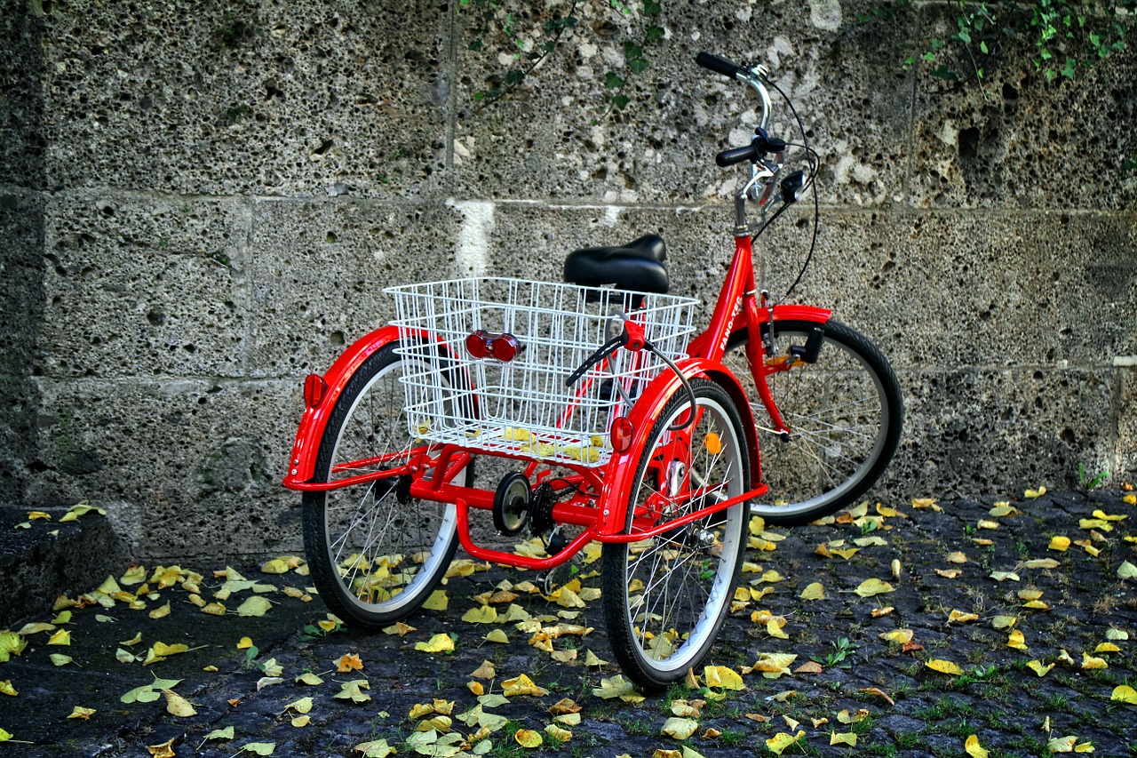tricycle bike wheel free photo