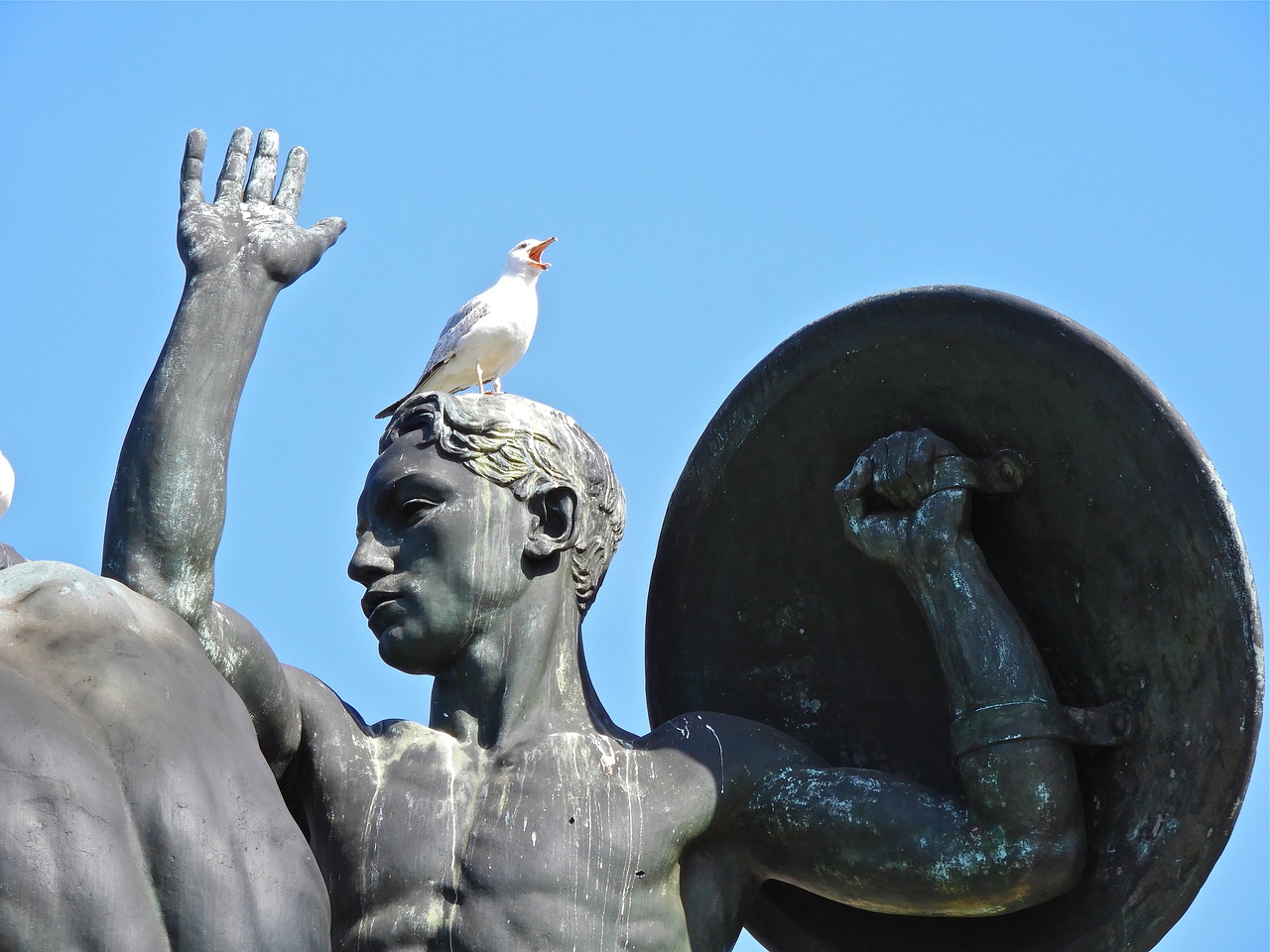 trieste  bronze  seagull free photo