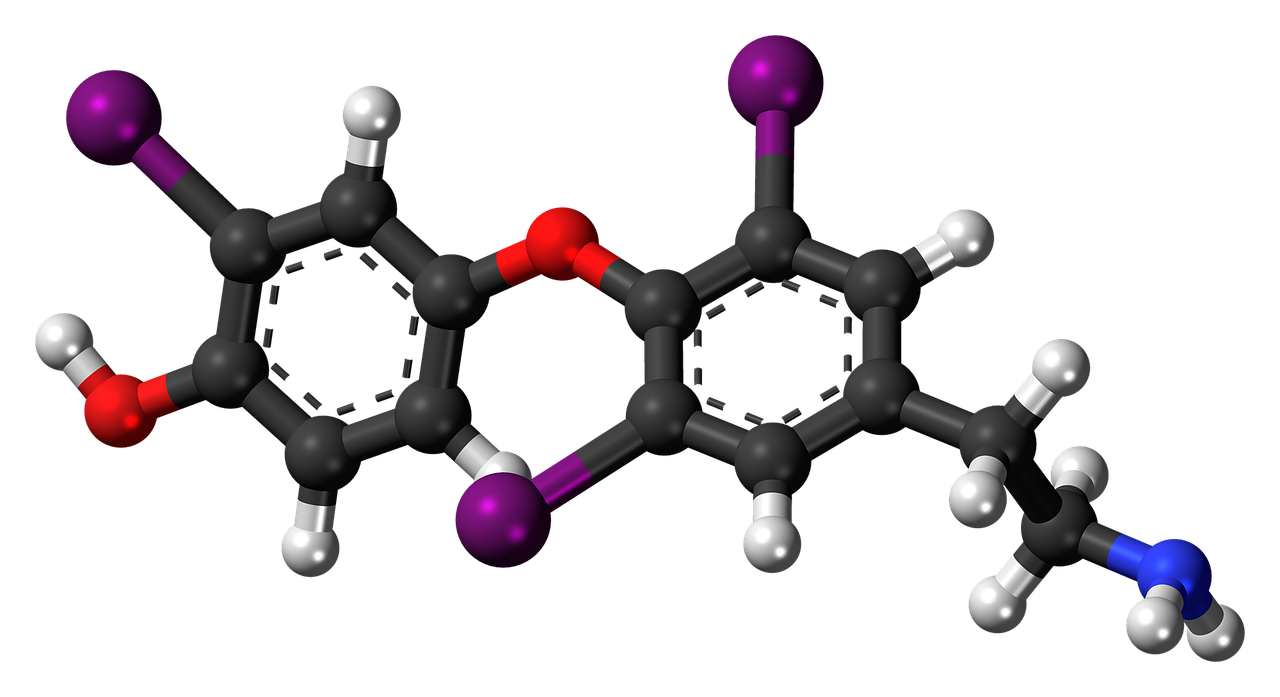 triiodothyronamine molecule chemistry free photo