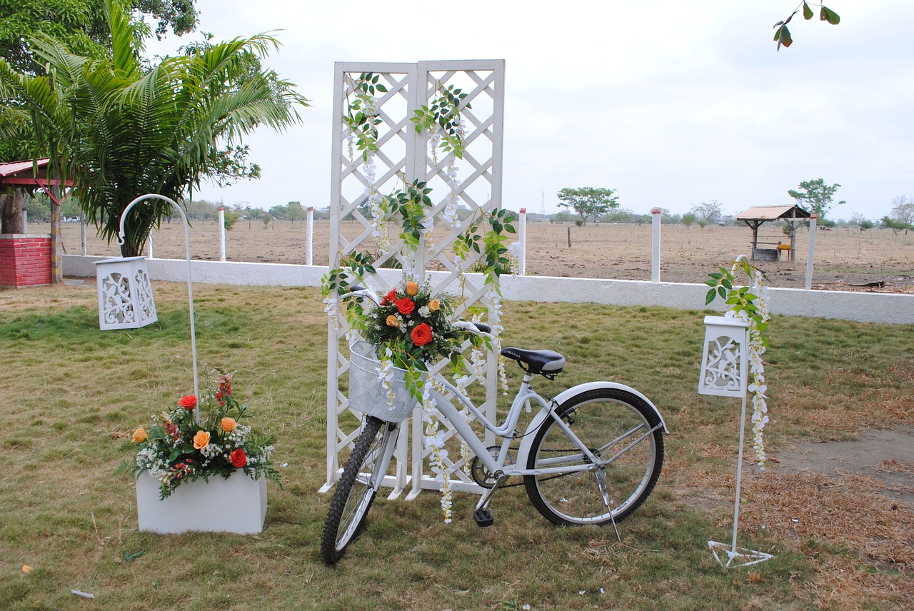 trim bicycle wedding free photo