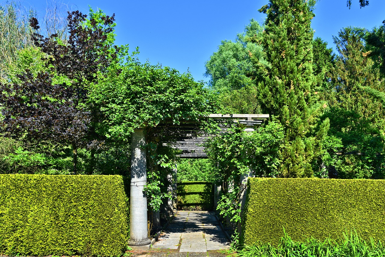 trimmed hedge  hedge  pillar free photo