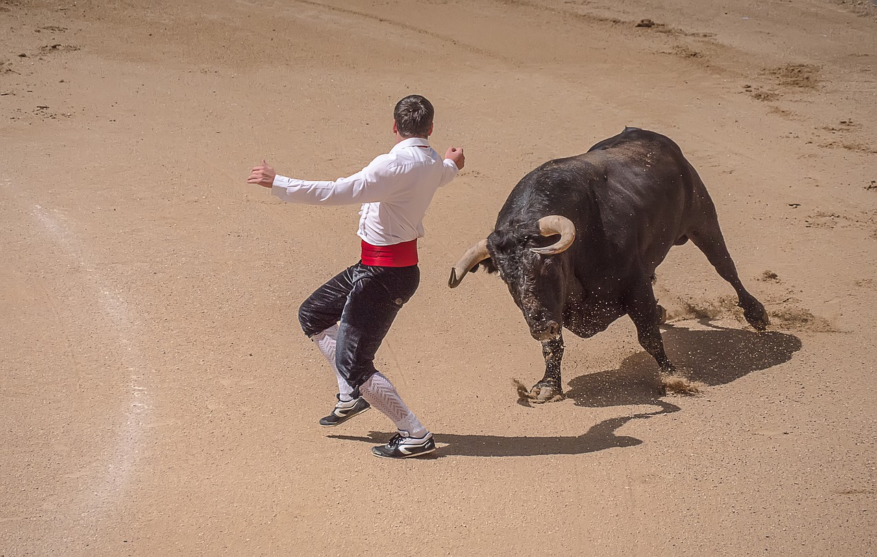 trimmers torero bullfighters free photo