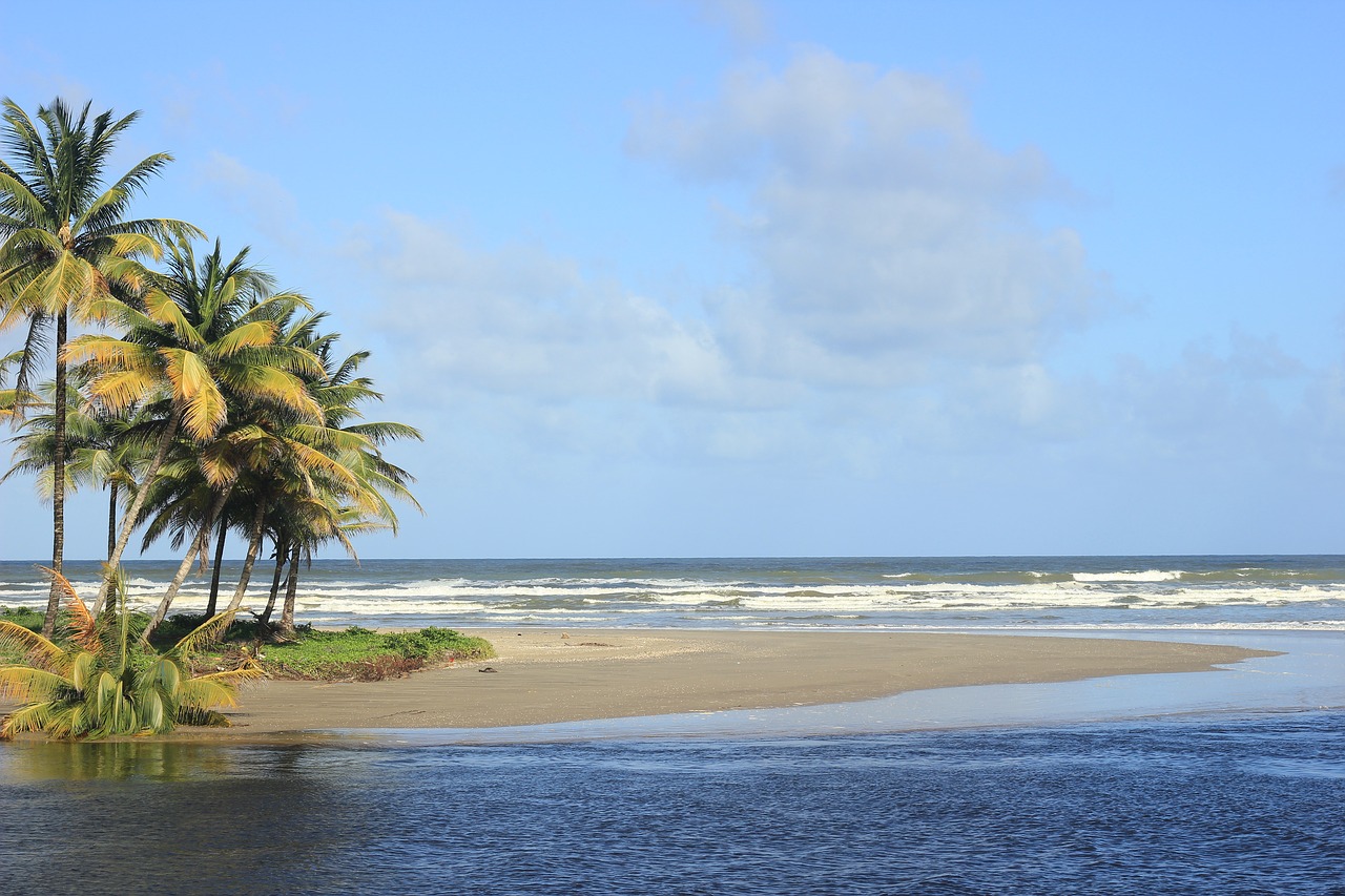 trinidad  beach  river free photo