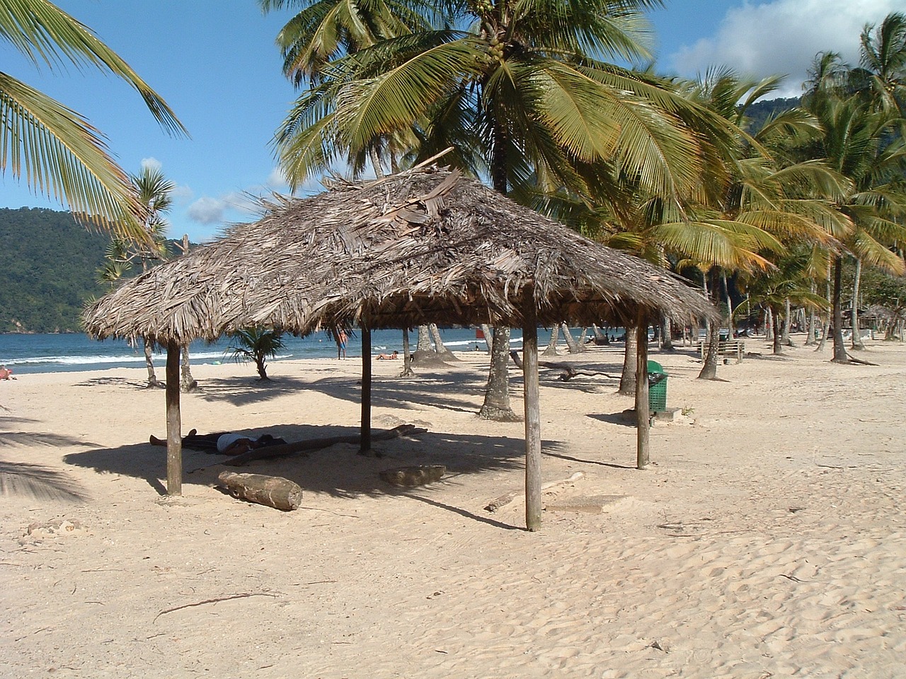 trinidad ocean beach free photo
