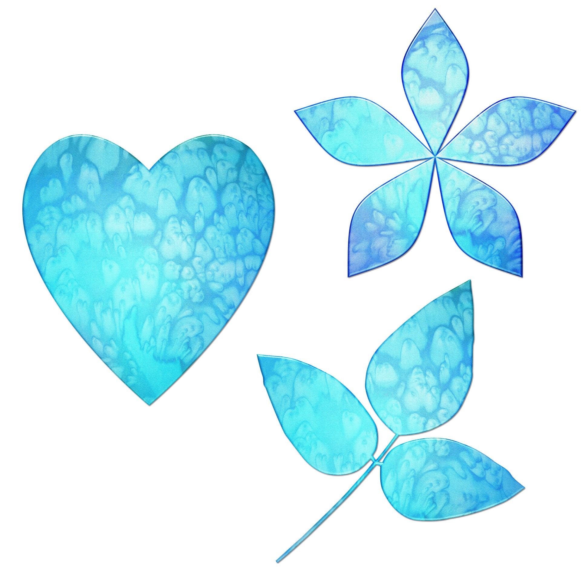 heart flower leaf free photo