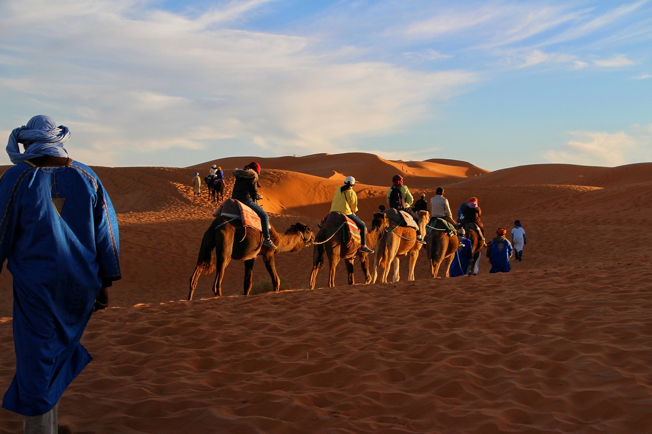 trip adventure camel caravan free photo