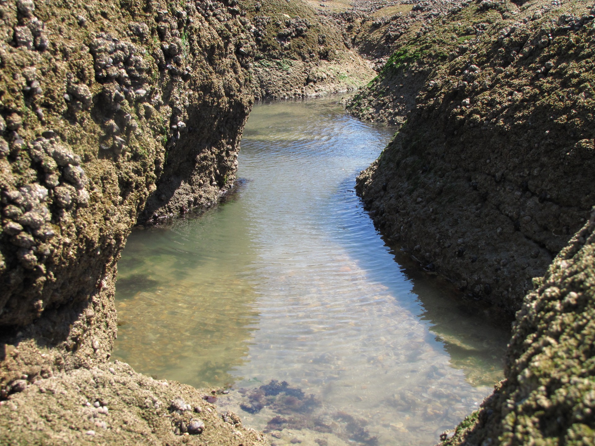 sea rock water free photo