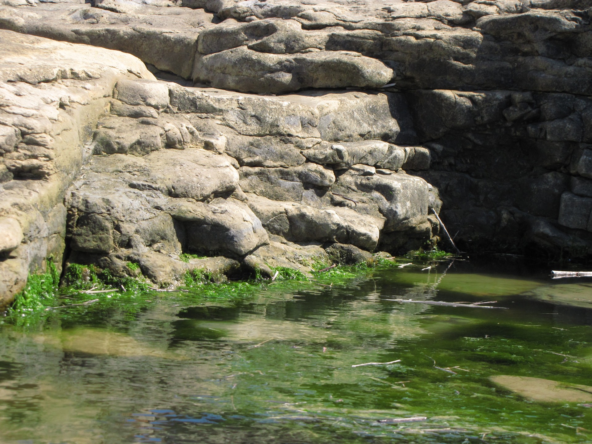 water sea rock free photo