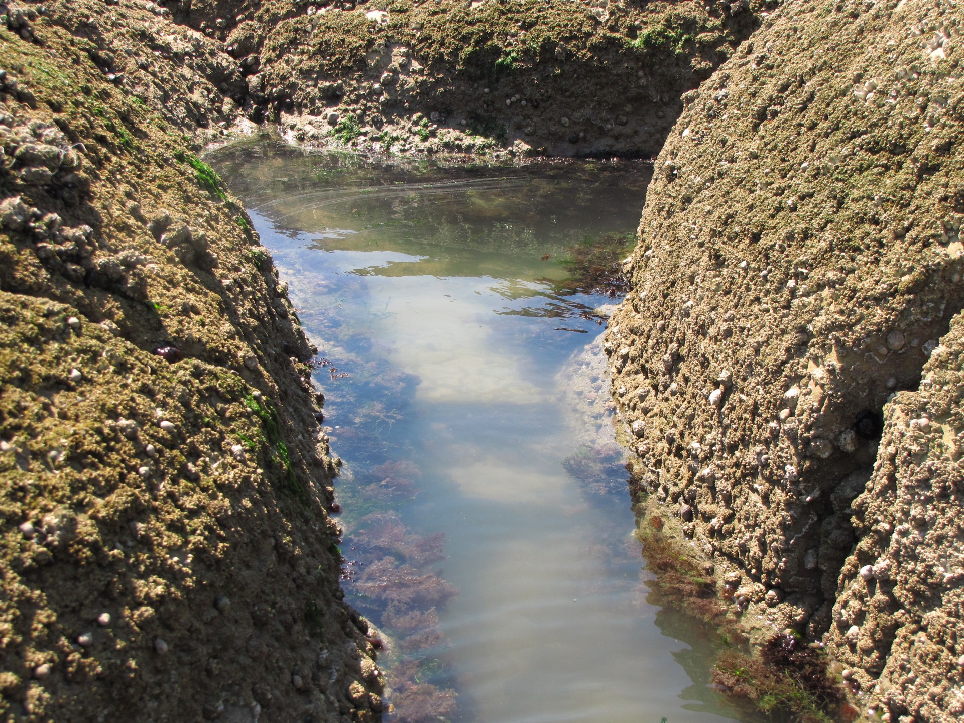 water sea rock free photo