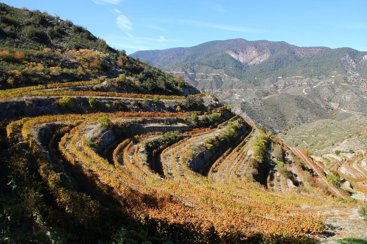 troodos pitsilia winery free photo