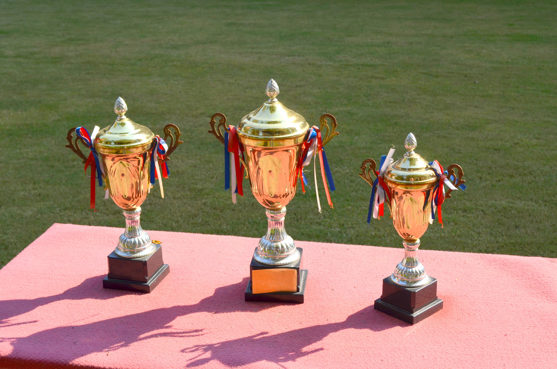 trophy trophies win free photo