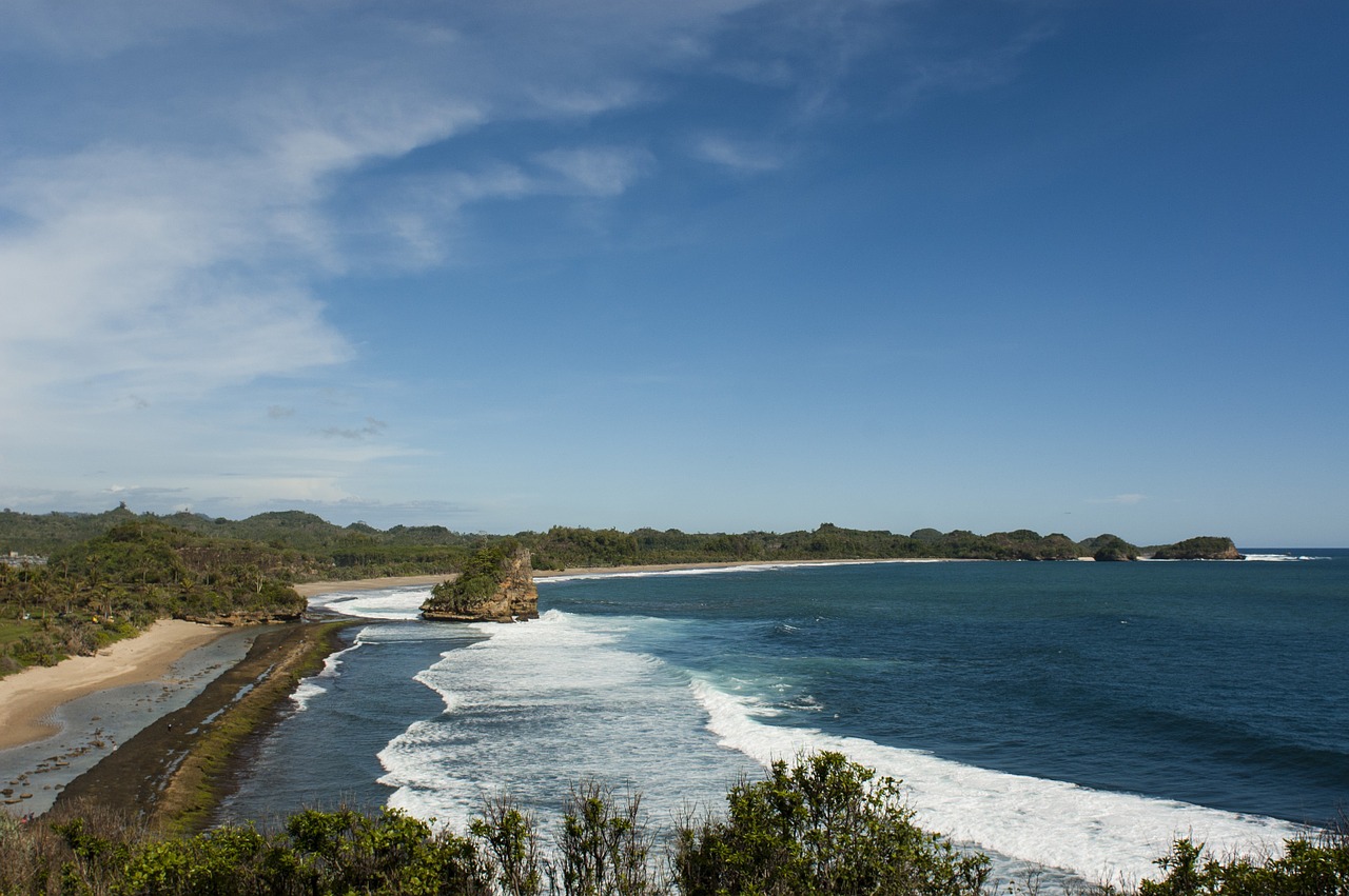 tropic beach shore free photo