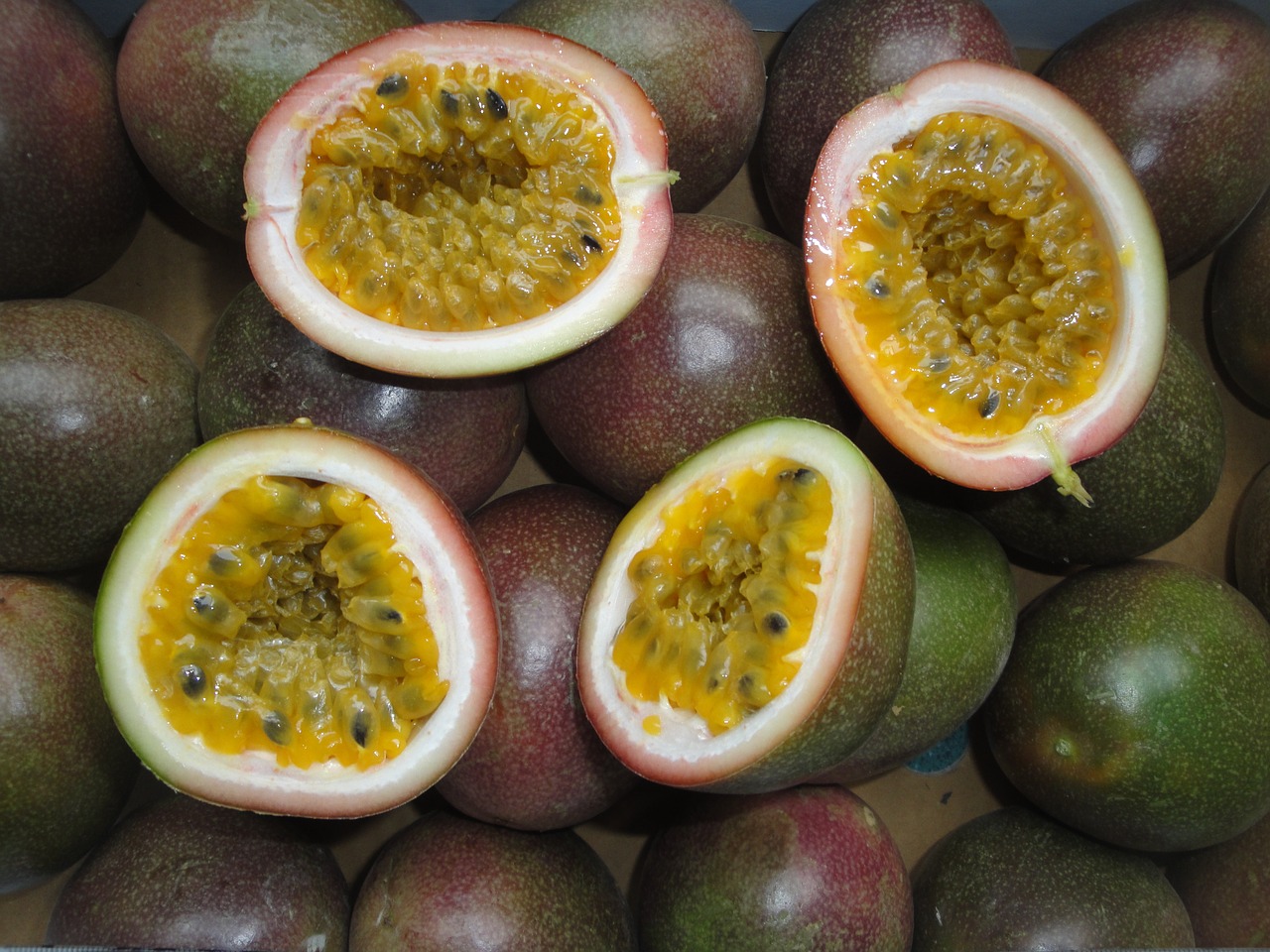 tropical passion fruit fruit free photo