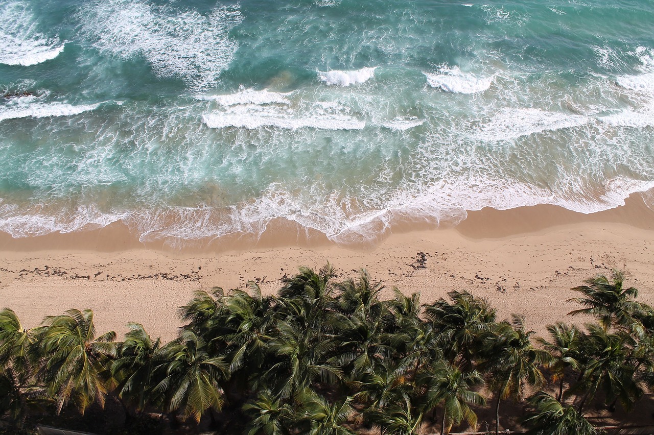 tropical beach waves free photo