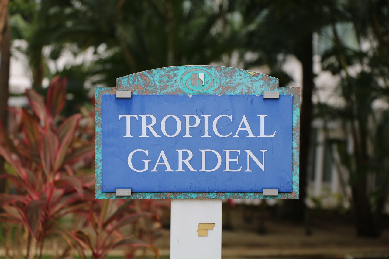 tropical garden hilton free photo