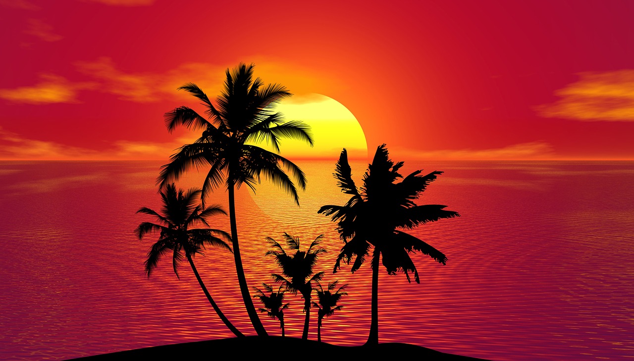 tropical sunset summer free photo