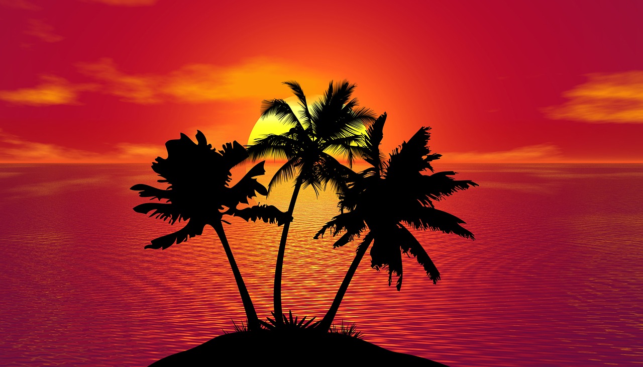 tropical sunset summer free photo