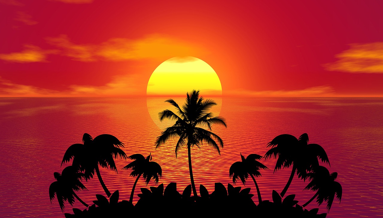 tropical sunset summer free photo