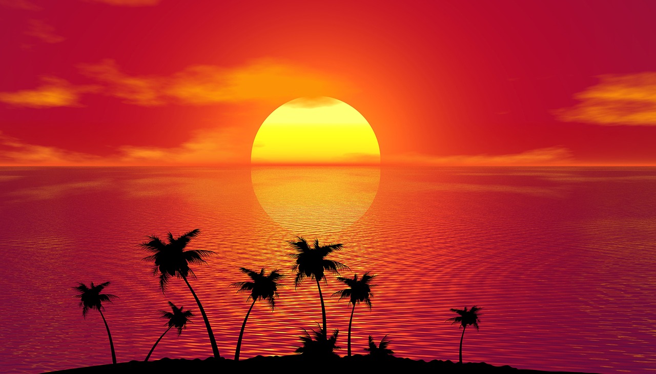 tropical sunset summer free photo