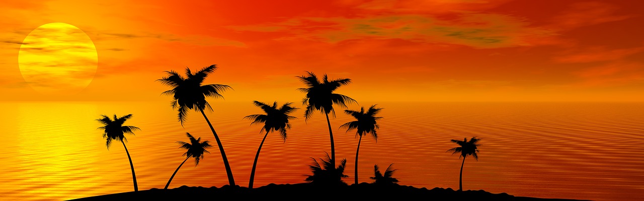 tropical sunset summer free photo