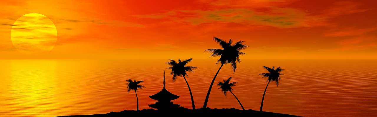 tropical sunset summer free photo