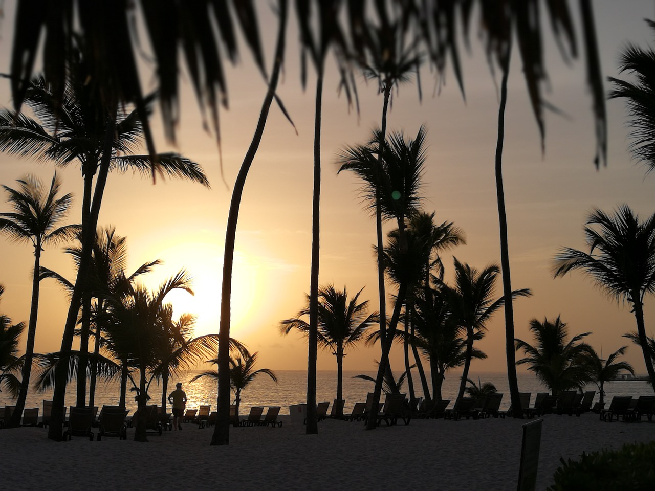 tropical vacation sunset free photo