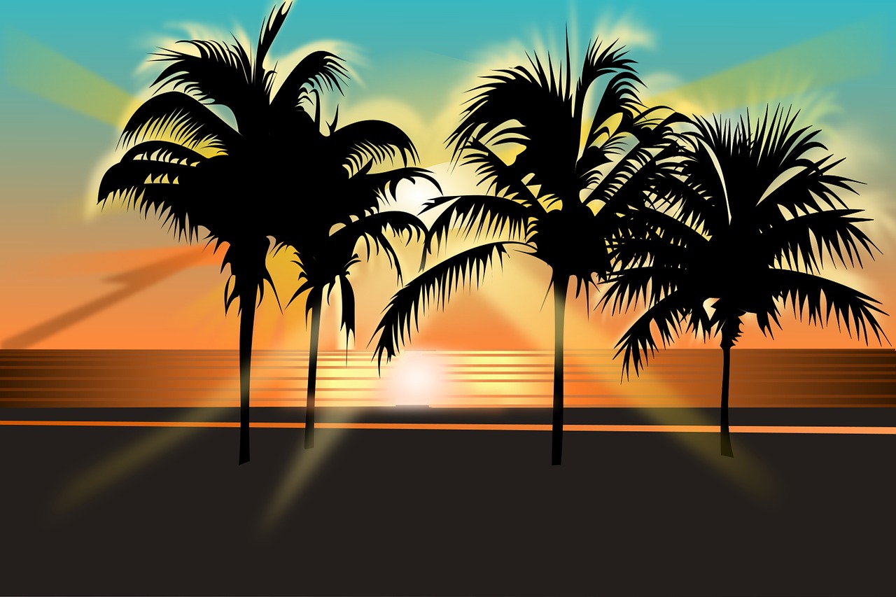 tropical  palm trees  beach free photo