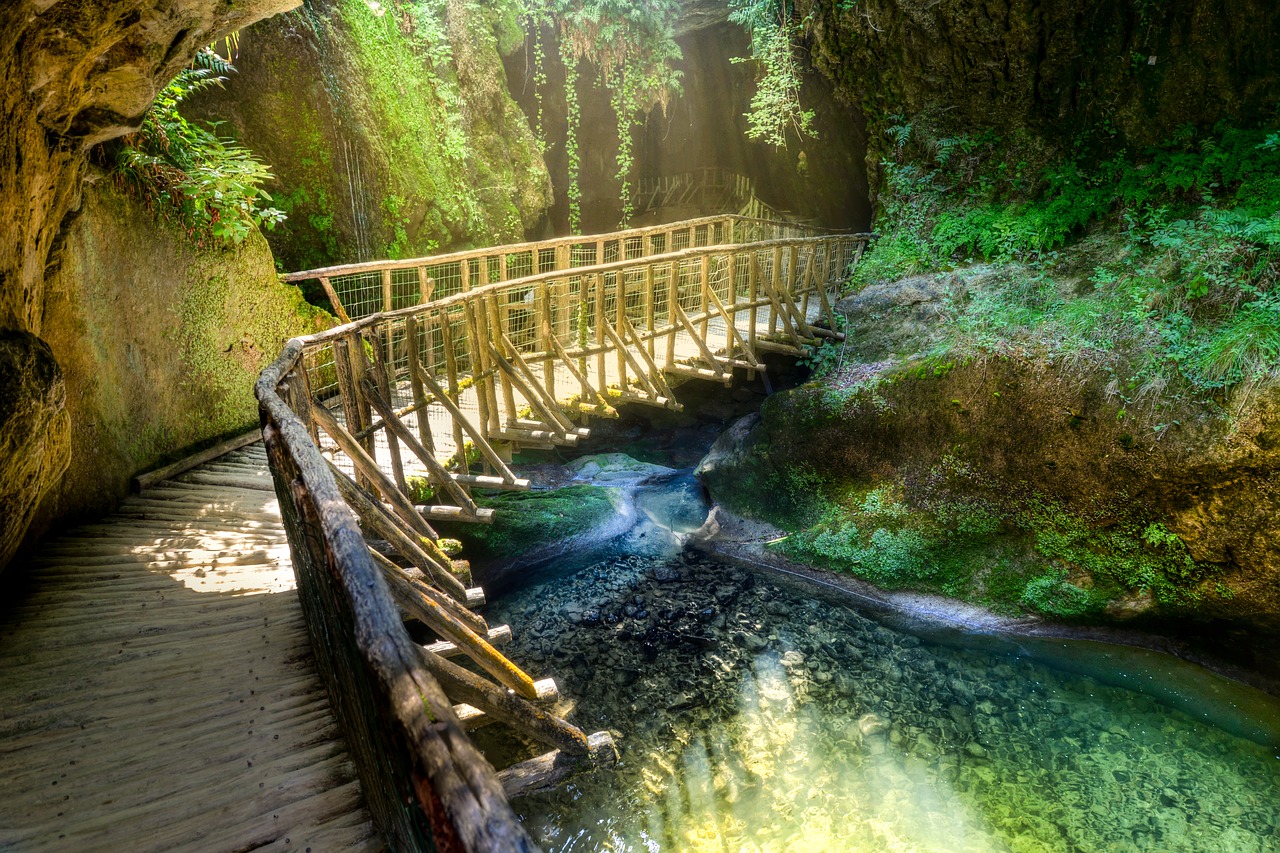 tropical  bridge  hdr free photo