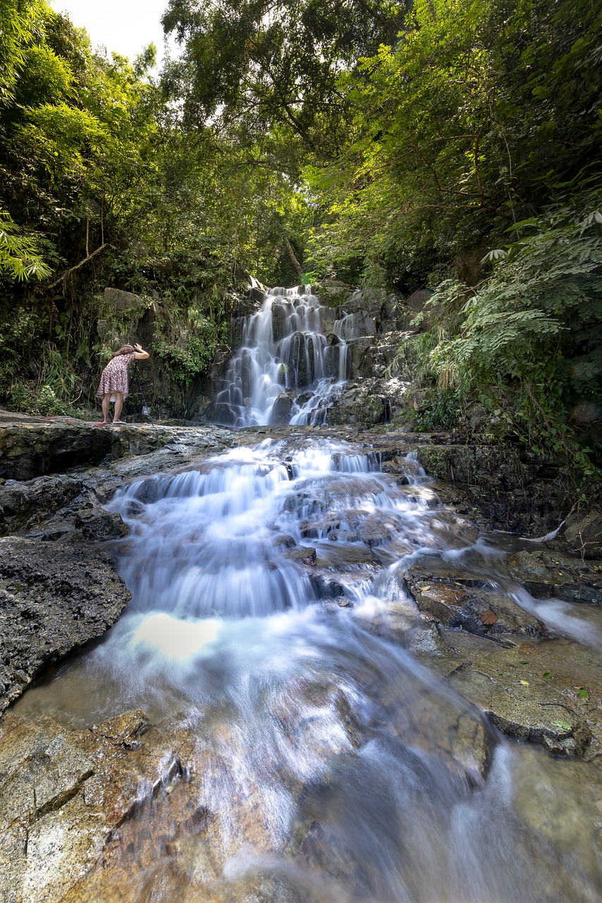 tropical  jungle  the waterfall free photo