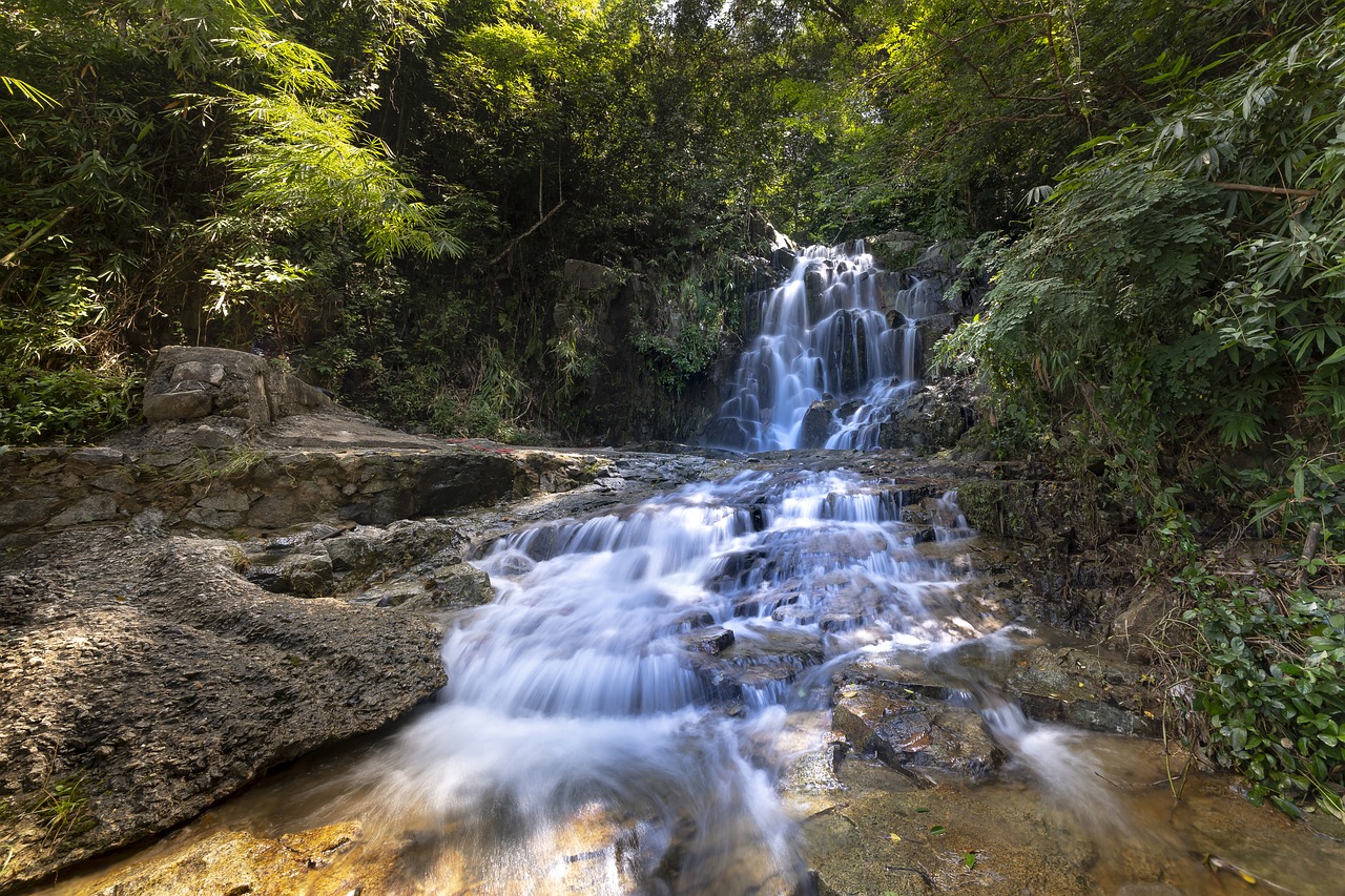 tropical  jungle  the waterfall free photo