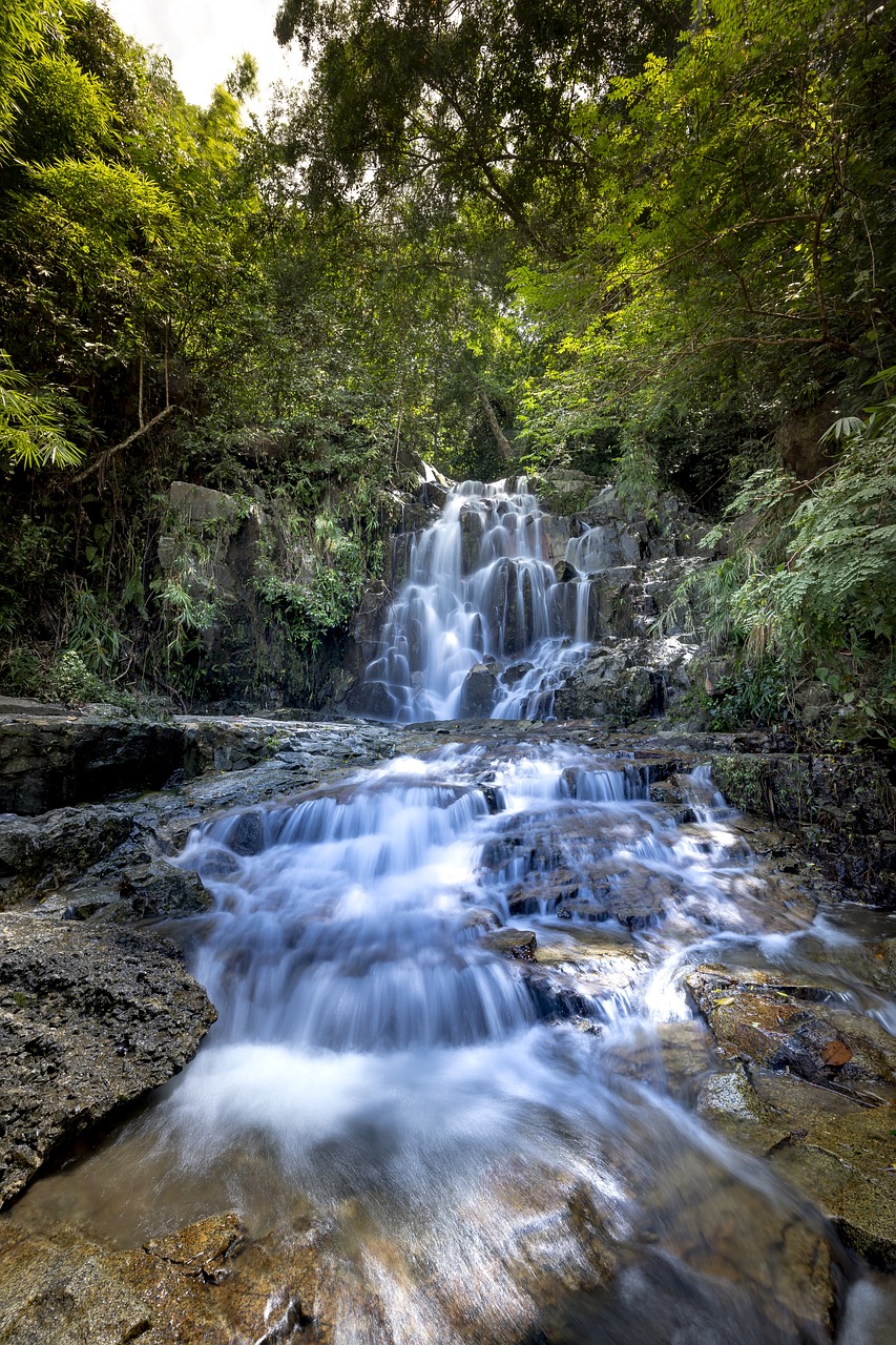 tropical  jungle  the waterfall free photo