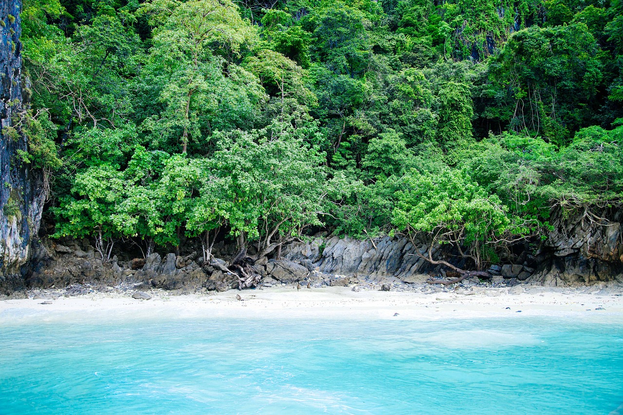 tropical beach turquoise free photo
