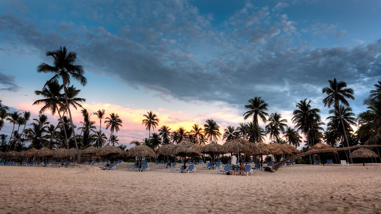 tropical beach palm trees sandy free photo