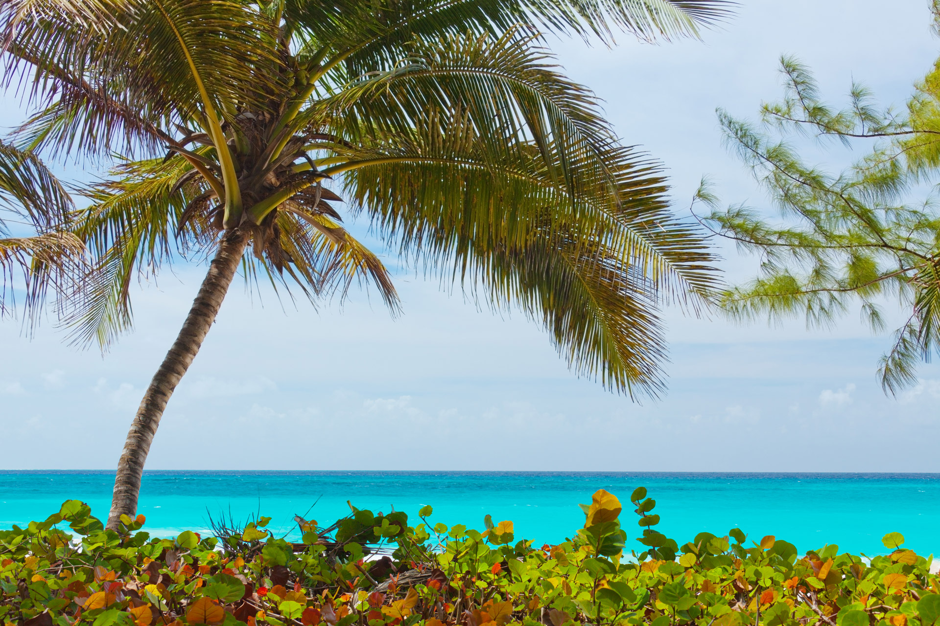 beach beautiful blue free photo