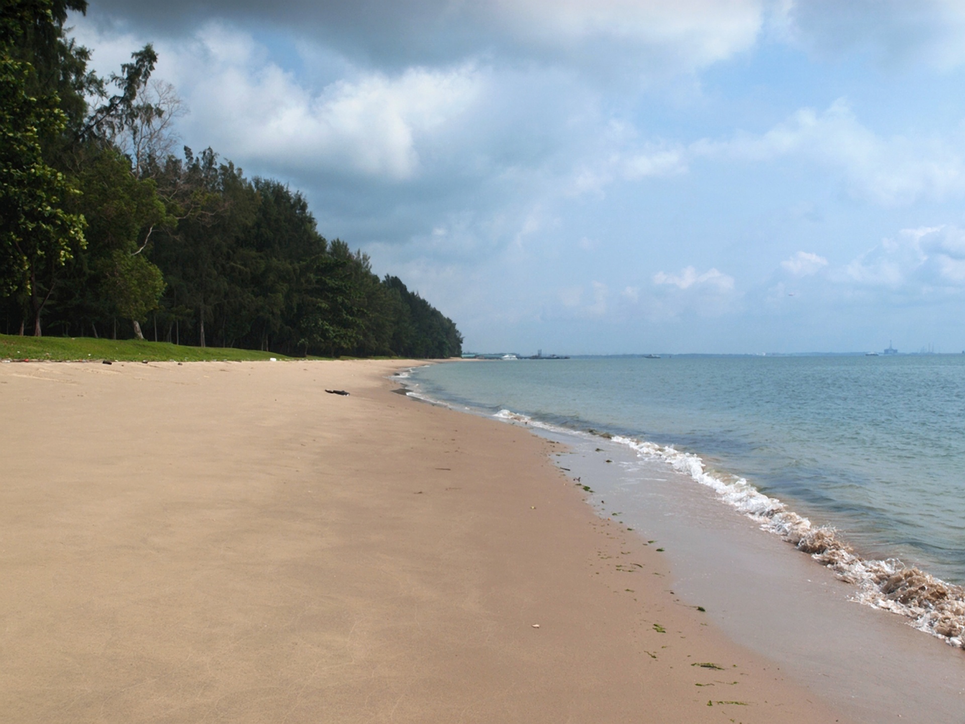 deserted beach sandy beach changi airport free photo