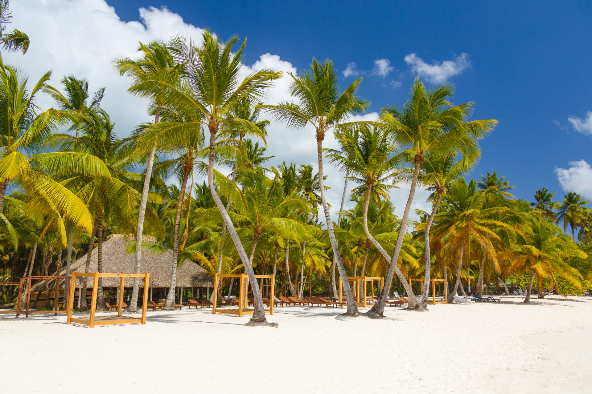 beach blue caribbean free photo