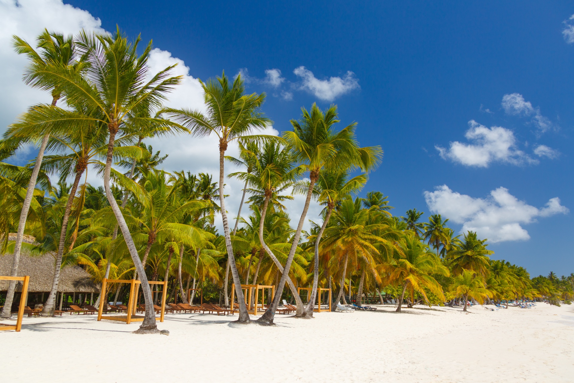 beach blue caribbean free photo