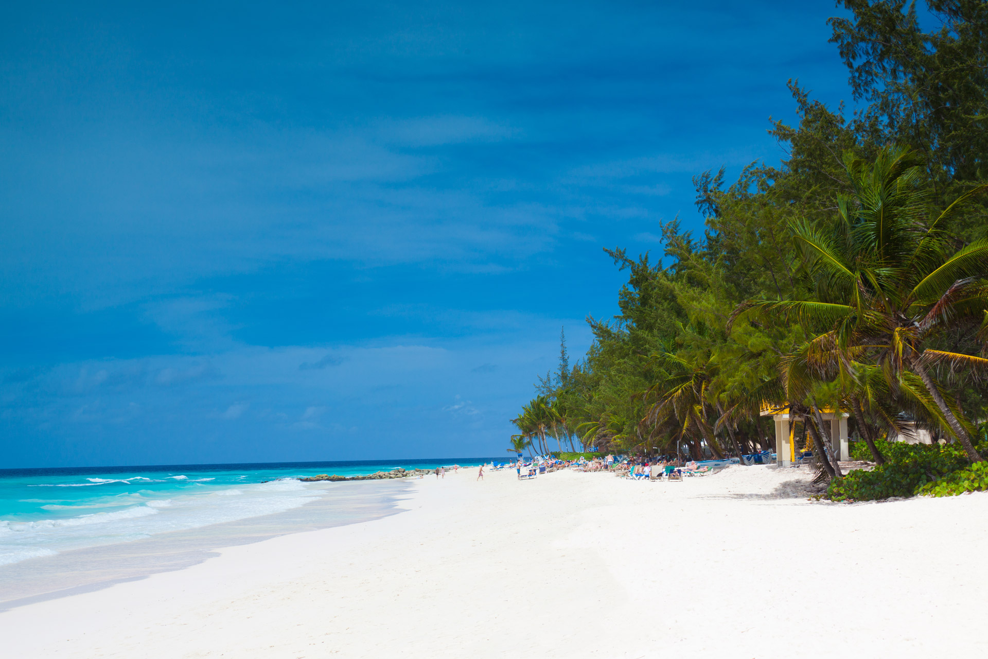 barbados beach caribbean free photo