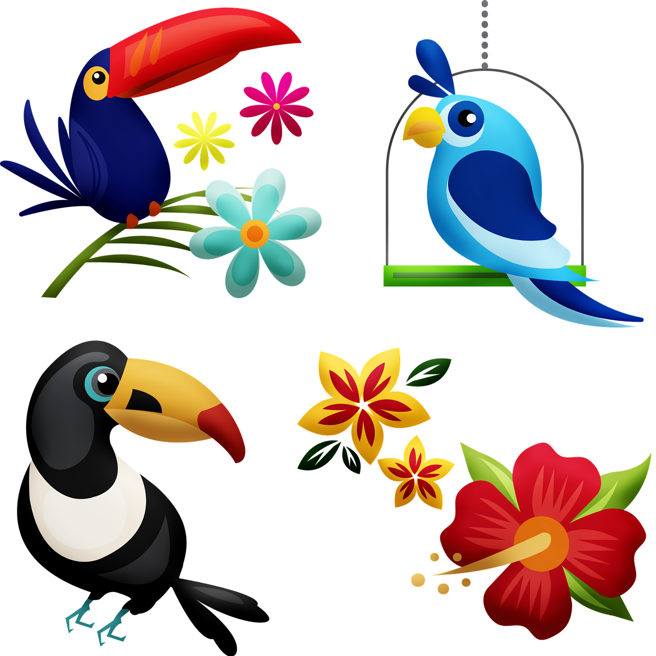 free rainforest birds clipart