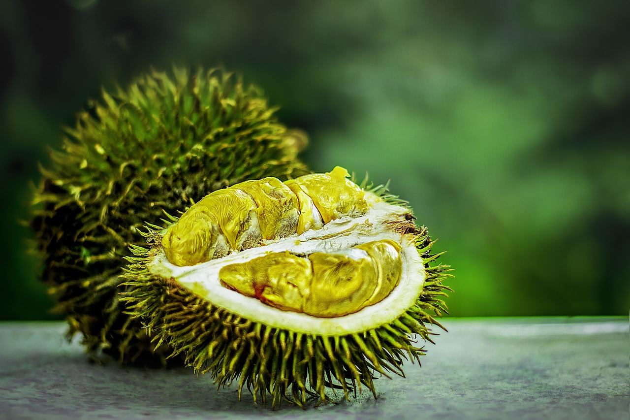 tropical fruit  durian  tropical free photo