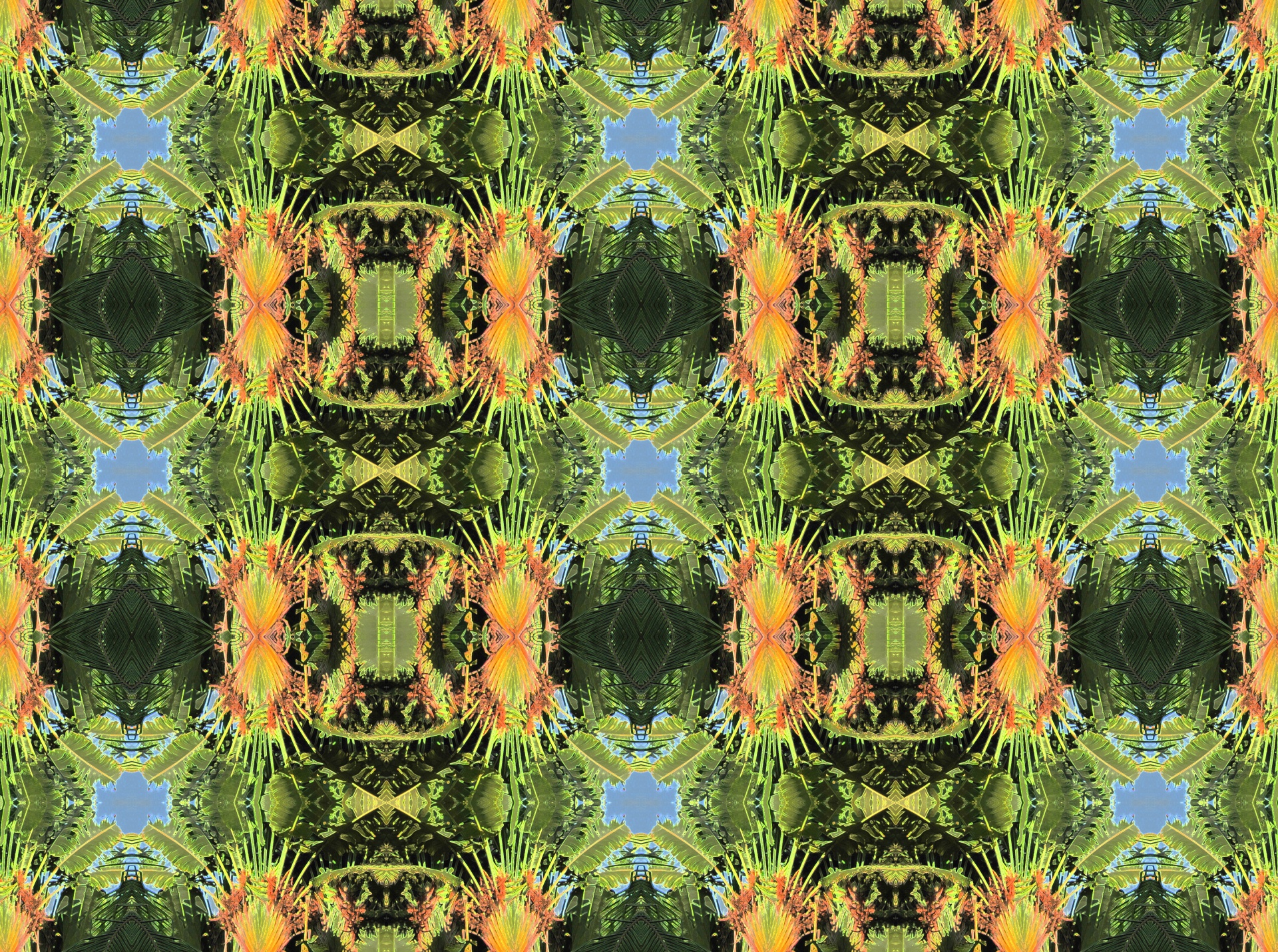 wallpaper pattern palms free photo