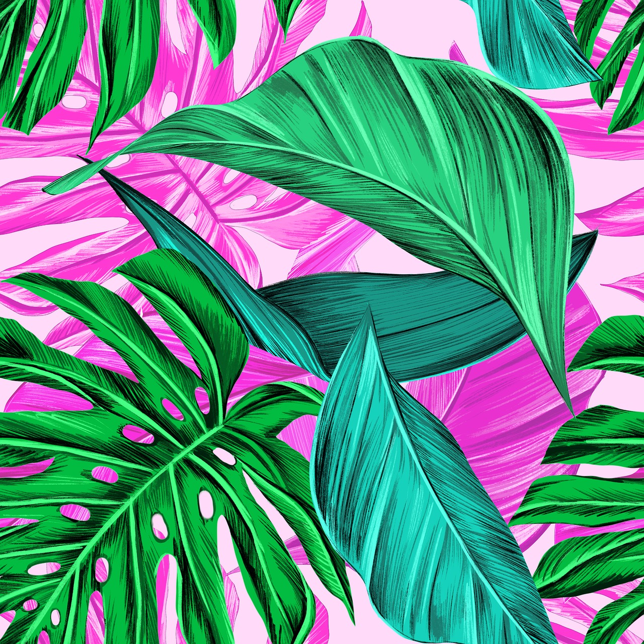 tropical greens  monstera  summer free photo